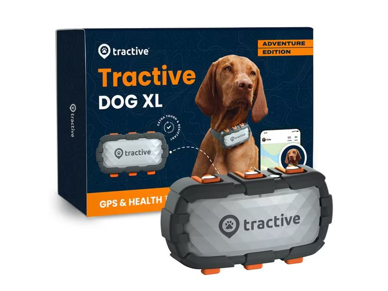 tractive GPS-Tracker DOG XL Adventure Edition, Grau