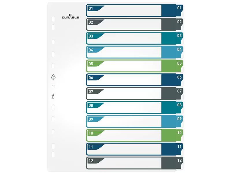 DURABLE Register A4+, 1-12, 5-farbig