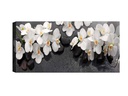 Wallxpert Bild Orchideen 30 x 80 cm