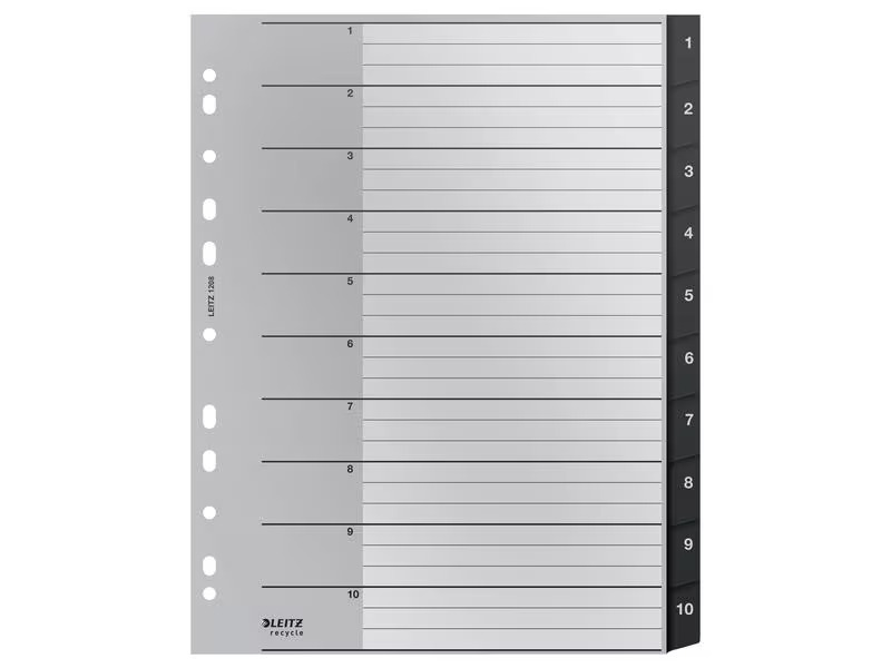 Leitz Register Recycle 1-10, A4, 10 Stück
