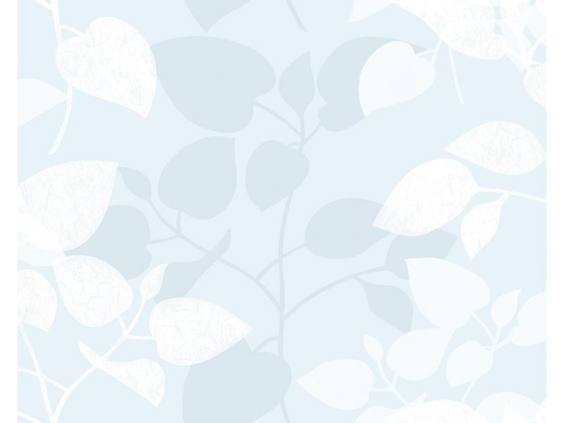 d-c-fix Fensterfolie Amena 67.5 x 150 cm