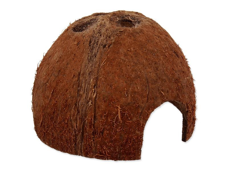 Repti Planet Coco Schale S