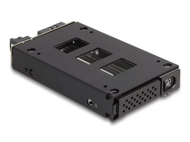 Delock Wechselrahmen U.2 NVMe 2.5