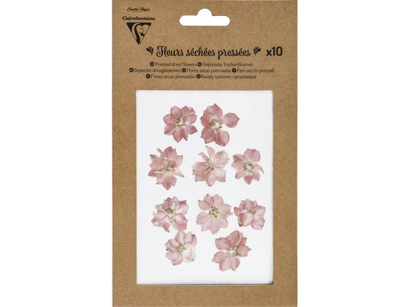 Clairefontaine Trockenblumen Rosa