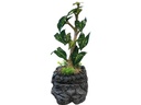 Repto tropfender Baum