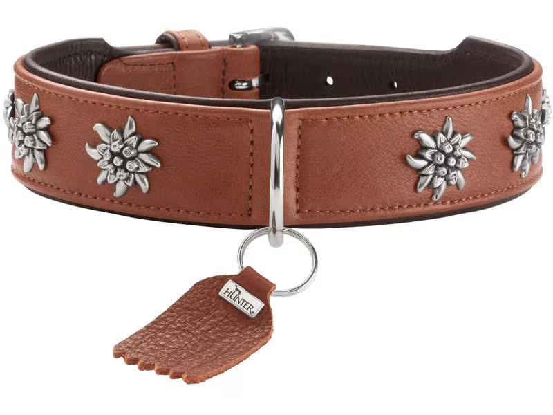 Hunter Halsband München 37/XS-S, Rindsleder, Cognac/Schwarz