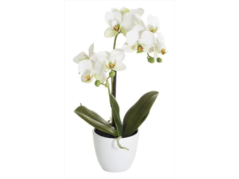 Botanic-Haus Kunstblume Phalenopsis 2 Rispen im Topf