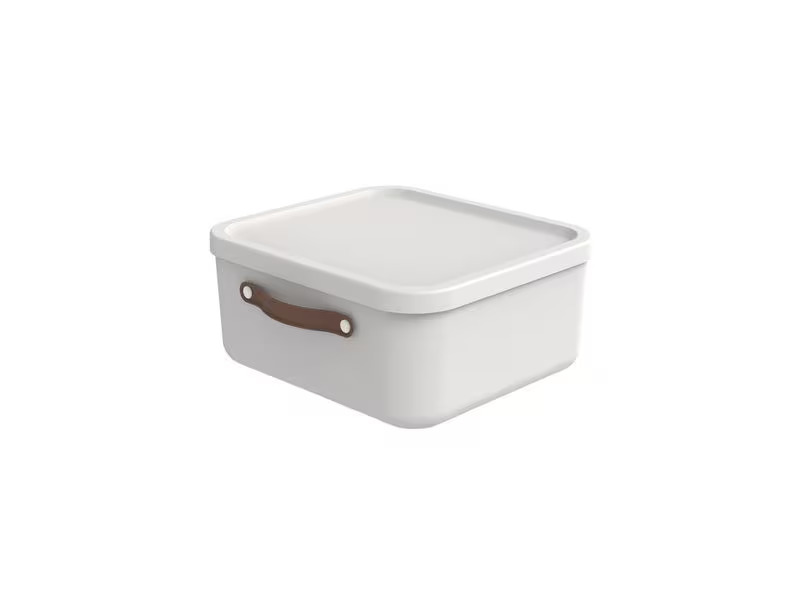 Rotho Aufbewahrungsbox Maloja 20 l, Mistletoe Weiss