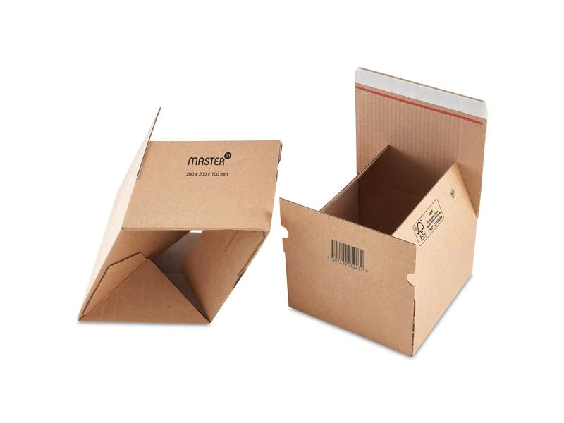 Antalis Versandkarton mit Automatikboden 31 x 23 x 16 cm, 20 Stück