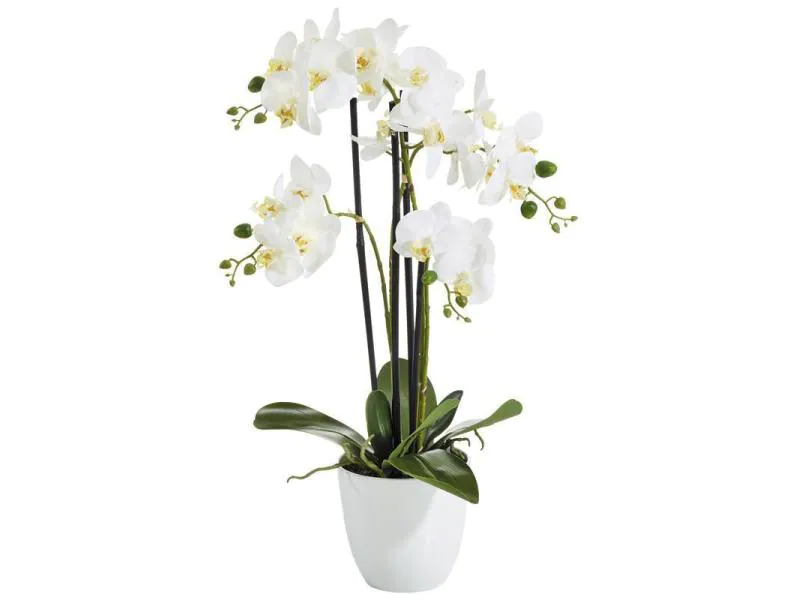 Botanic-Haus Kunstblume Phalenopsis  im Topf, 4 Rispen, Weiss