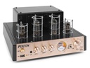 Fenton Endstufe TA60