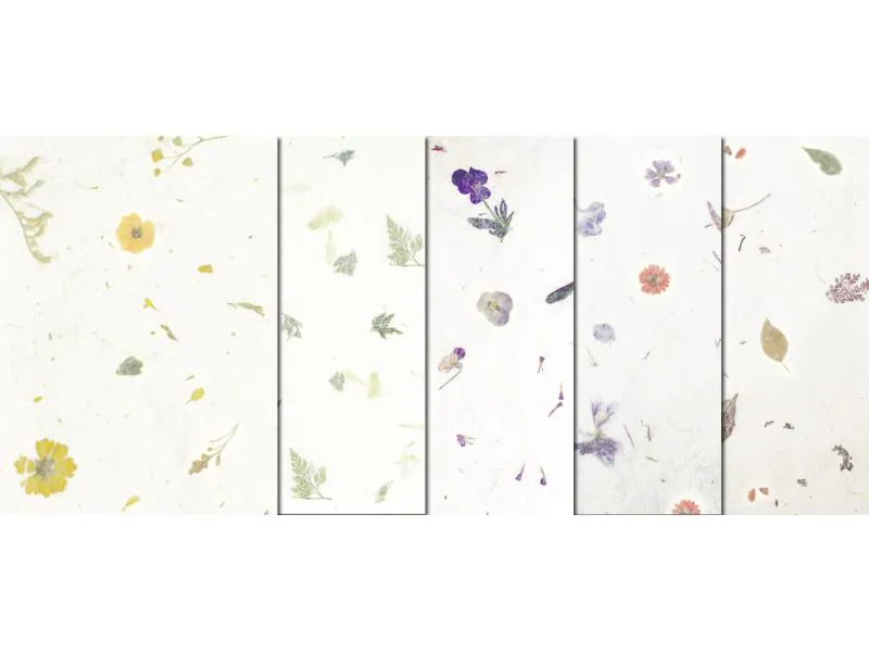 URSUS Bastelpapier Botanica 23 x 33 cm, 35 g/m², 5 Blatt
