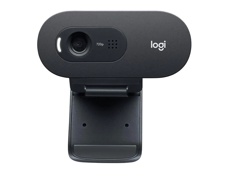 Logitech Webcam C505e HD Bulk
