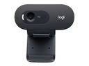 Logitech Webcam C505e HD Bulk