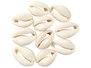 Creativ Company Perlen Muscheln, 20 mm, natur, 12 Stk.