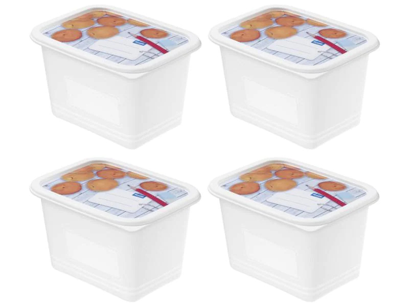 Rotho Vorratsbehälter Domino Dekor 4 Stück, 1 l, Transparent