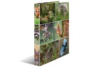 HERMA Ringbuch Waldtiere 2-Ring 3.5 cm