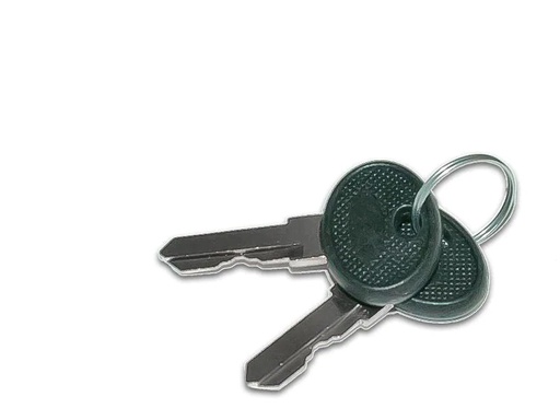 [90114905 259076] Wirewin Rack Zubehör 2 x Cab Key Serverschrankschlüssel