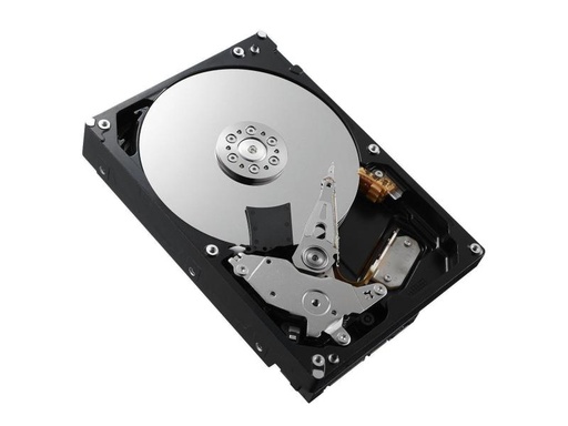 [90012013 873784] DELL Harddisk 400-AUPW 3.5 SATA 1 TB