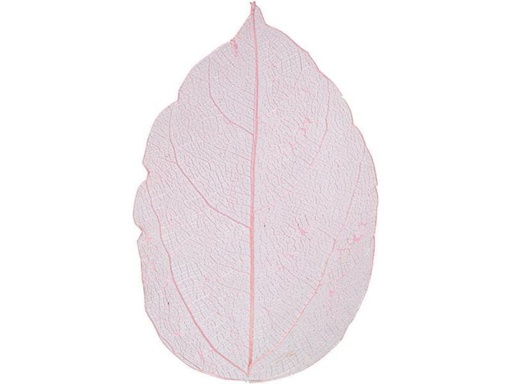 [90123080 1019986] Creativ Company Papierdekoration Laubblätter, Rosa, 20 Stück