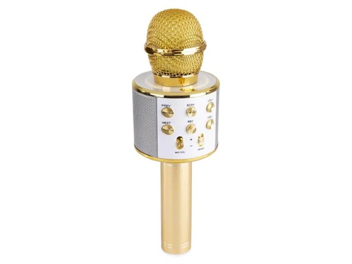 [90123201 1058572] MAX Mikrofon KM01G Gold