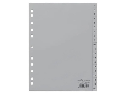 [90125848 262279] DURABLE Register A4 1-20, Hoch, Grau