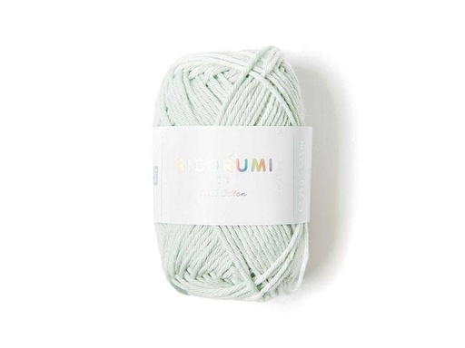 [90013180 1208347] Rico Design Wolle Creative Ricorumi DK 25 g, Eisgrün