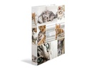 HERMA Ringbuch Katzen 2-Ring 3.5 cm, Mehrfarbig