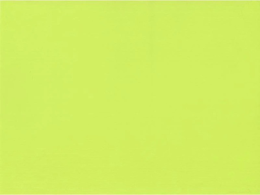 [90141218 553461] Papstar Tischset 30 cm x 40 cm, Grün