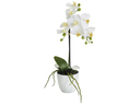 Botanic-Haus Kunstblume Phalenopsis 1 Rispe im Topf, Weiss