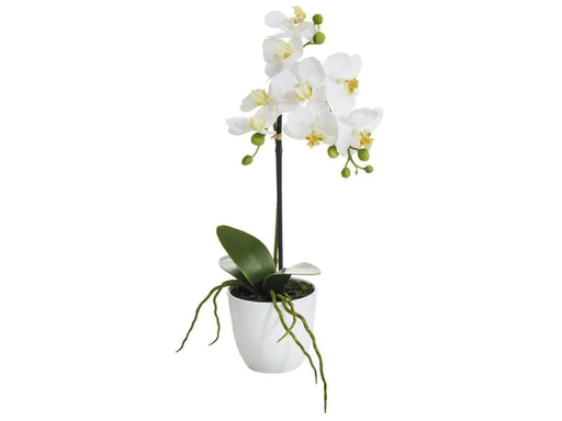 [90142646 1037120] Botanic-Haus Kunstblume Phalenopsis 1 Rispe im Topf, Weiss