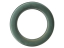 Oasis Steckschaum Ring Ø 25 cm