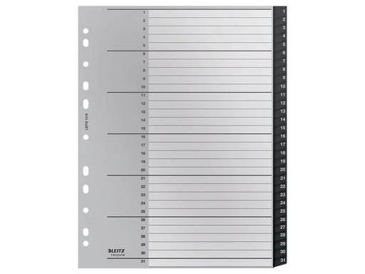 [90145417 1105149] Leitz Register Recycle PC-beschriftbares Register 1-31, A4