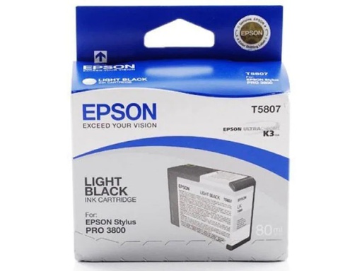 [90145589 67161] Epson Tinte Epson C13T580700 Light Black