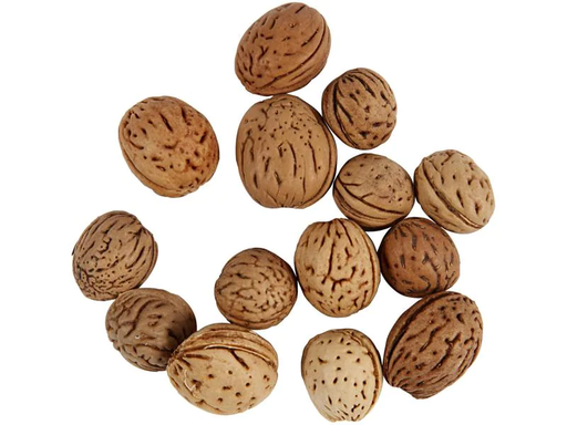 [90148031 1067069] Creativ Company Streudeko Nüsse Deko 25 g