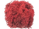 Glorex Moos Island Rot