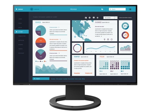 [90156181 1121400] EIZO Monitor EV2495 Swiss Edition Schwarz