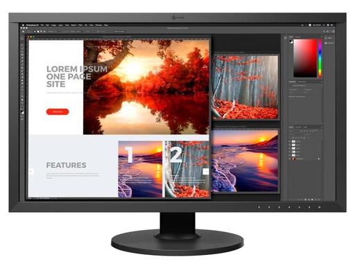 [90160286 1068834] EIZO Monitor CS2740-Swiss Edition