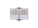 RayTec Weisslicht Strahler VAR2-w8-2