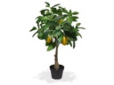 Botanic-Haus Kunstpflanze Zitronenbaum, 70 cm