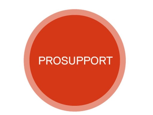 [90167142 1145574] DELL ProSupport Precision 7xxx 3 J. NBD zu 5 J. ProSupport