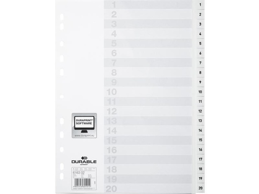 [90021719 1096543] DURABLE Register A4 1-20, mit Indexblatt