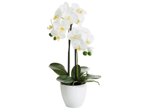 [90022549 1179266] Botanic-Haus Kunstblume Phalenopsis 2 Rispen, 54 cm, mit Topf