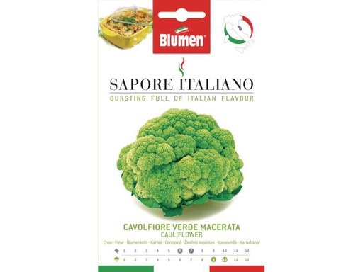 [90023400 848196] Blumen Samen Blumenkohl Verde Macerata
