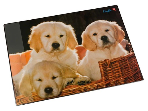 [90174734 1224047] Läufer Schreibunterlage Hunde 40 x 53 cm, 1 Stück