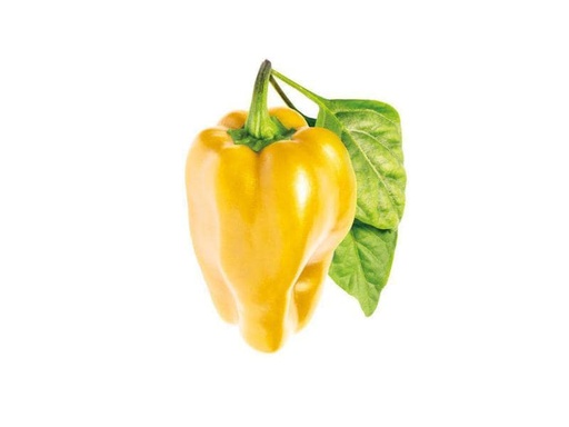[90024316 996928] Click and Grow Samen Gelbe Peperoni
