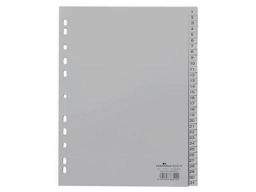 [90025268 750159] DURABLE Register A4 1-31