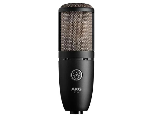 [90025327 857618] AKG Mikrofon P220