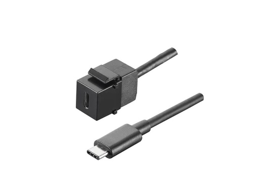 [90025387 1212528] Bachmann Keystone-Modul USB 3.1 Typ C