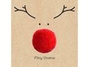 Braun + Company Weihnachtsservietten Big Red Nose 17 cm x 17 cm, 20 Stück